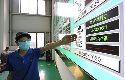 大數據驅動貴州農業升級，智能工廠與信息技術咨詢助力產業轉型