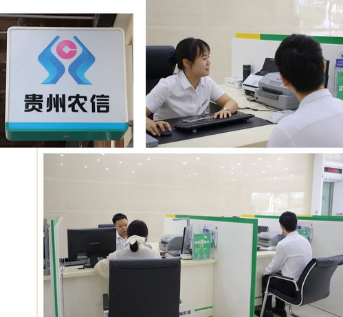 金融活水潤萬山系列報道之一 信息技術咨詢服務助力萬山破解養殖融資難題