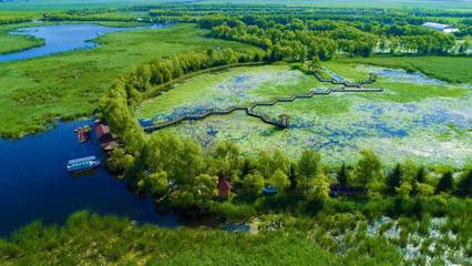 556萬公頃濕地構(gòu)筑龍江獨(dú)特生態(tài) 自然生態(tài)系統(tǒng)保護(hù)管理