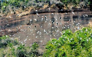 丹霞山自然保護(hù)區(qū) 珍稀鳥類的生態(tài)家園與自然保護(hù)典范